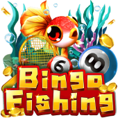 Bingo Fishing on 95ph